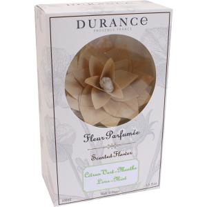 Coffret fleur bois parfumée 100ml