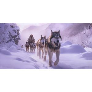 Expédition musher ia impression sur dibond